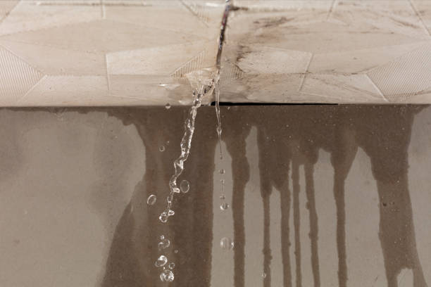 Professional Water Extraction technician working in Almont, MI